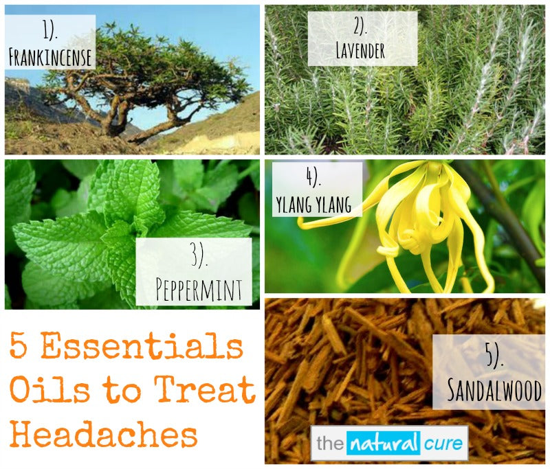 Essential Oils to Help Headaches